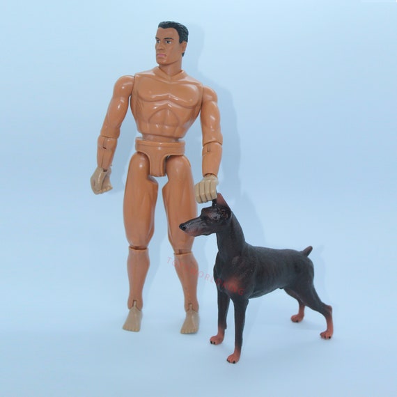 Doberman in hot sale action