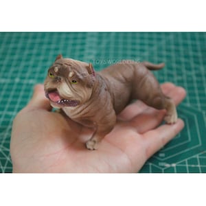 Könnte beinhalten: Eine braune und weiße American Bully Hundefigur mit grünen Augen. Die Figur steht auf einer Hand.