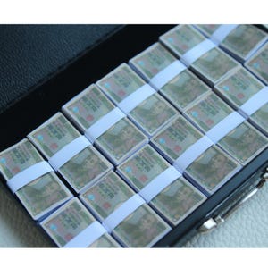May include: Stacks of Japanese Yen banknotes, each secured with a white paper band. The banknotes are arranged neatly inside a black case. The bills feature a portrait and Japanese text.