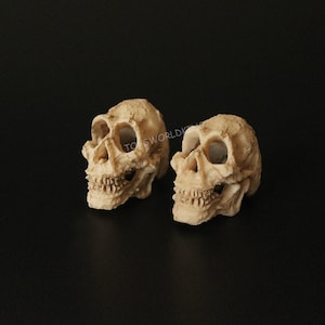 2 x miniatuur harsschedel Model: actiefiguuraccessoire schaal 1/6