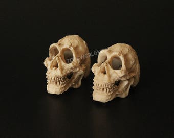 2 x 1/6 Miniature Scale Homo sapiens Head Skull Mini Model Resin Toy For 12&quot; Action Figure Doll Halloween Diorama