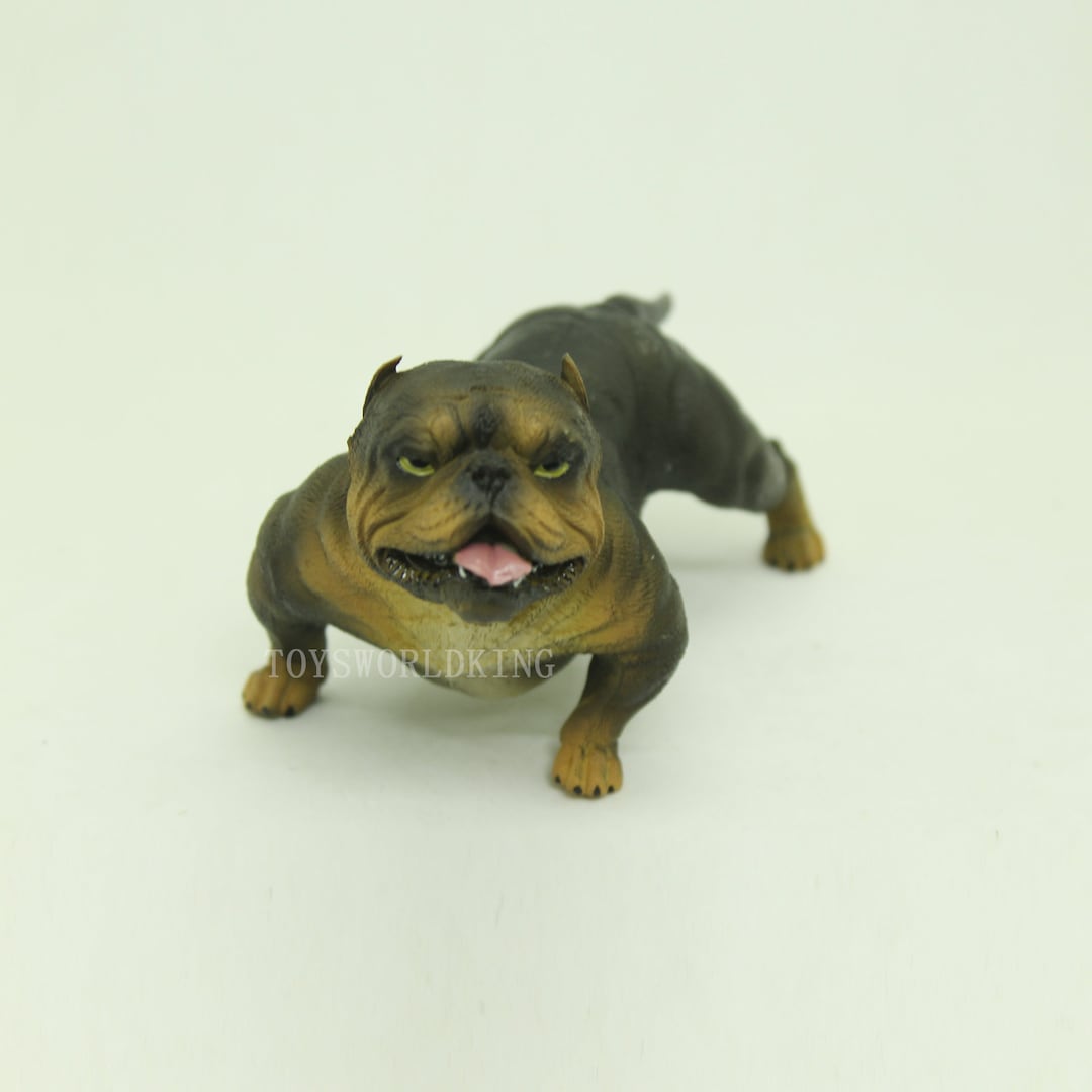 1 6 Scale Mini Bully Dog Pitbull Model Figurine for 12in Action