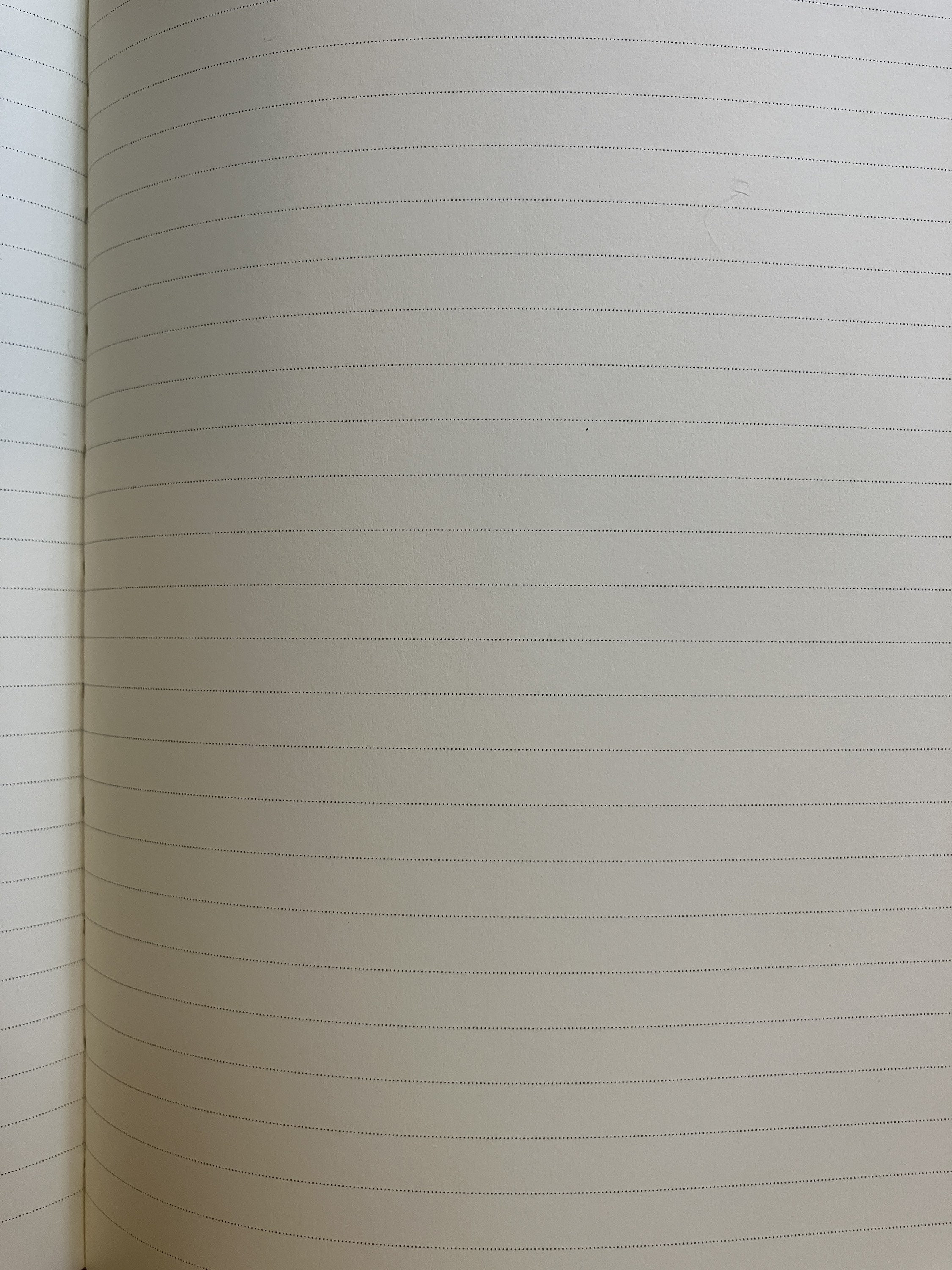 Cavallini Large Notebook World Map - Etsy