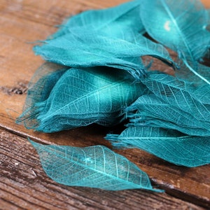 Handgeverfde 100 turkooizen skeletbladeren – natuurlijke ambachtelijke bladeren voor hars, scrapbooking, kaarten maken, doe-het-zelfkunst en huwelijksdecoraties