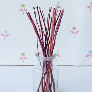 Puede incluir: Un tarro de vidrio transparente lleno de un montón de ramitas finas pintadas de rosa y rojo.