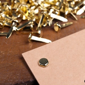 May include: A close-up of a gold metal fastener on a brown paper surface. A pile of similar fasteners is scattered in the background.