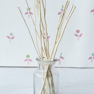 12g Natural Colour Wooden Branch Replacement Diffuser Reed Refill Sticks Twigs 24cm Natural Wood image 2