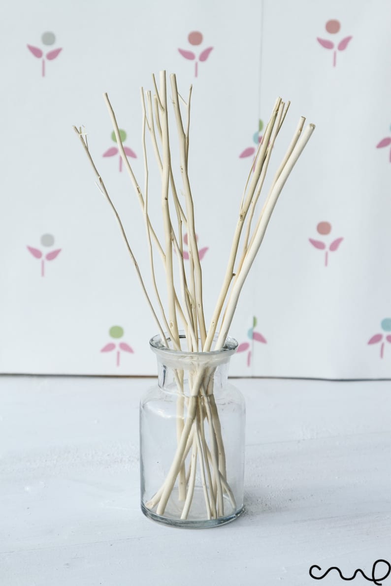 12g Natural Colour Wooden Branch Replacement Diffuser Reed Refill Sticks Twigs 24cm Natural Wood image 2