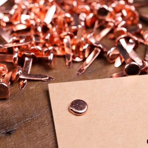 100 x Fermagli per carta in rame Spilli divisi 19mm / 8mm Testa