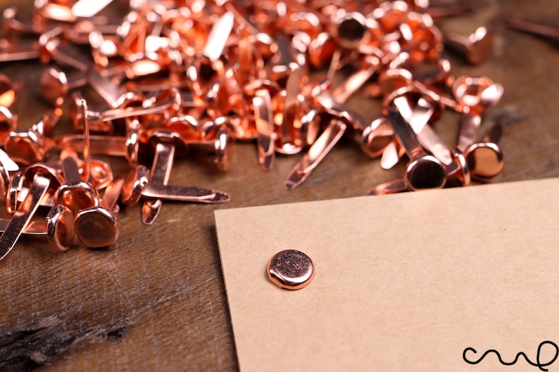 100 X Copper Paper Fasteners Split Pins 19mm / 8mm Head Etsy