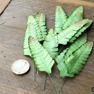 Un set di 20 x foglie di carta di gelso verde con gambo, biglietti artigianali, matrimonio, mimosa, livelli di carta verde unici con gambo