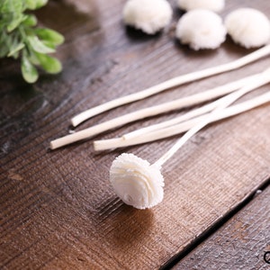 5x Sola Flower Diffuser Sticks with Reed Refills Natural Scent Sticks for Essential Oil Aromatherapy Home Decor