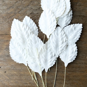 20 x Folhas de papel de amoreira branca, haste, artesanato, cartão, fazer, decoração de casamento, buquê