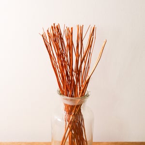 Może przedstawiać: Przezroczysty szklany wazon wypełniony pomarańczowo-brązowymi ozdobnymi gałązkami. Wazon stoi na drewnianej powierzchni na białym tle. Gałązki są smukłe i tworzą naturalną, rustykalną estetykę.