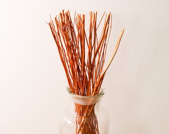 Orange Wooden Branch Diffuser Reed Refill Sticks (24cm)