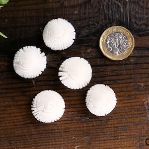 Könnte beinhalten: Fünf weiße, runde, dekorative Muschelknäpfe mit einem erhabenen Spiralmuster. Die Knöpfe sind etwa so groß wie eine deutsche Ein-Euro-Münze.