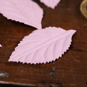 Foglie di carta fustellate rosa pastello, carta pressata, artigianato, creazione di biglietti di nozze, abbellimento, 4,5 cm, confezione da 10