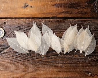 NEW 100 x Natural Skeleton Rubber Leaves Approx 2.5&quot;/6-7 cm