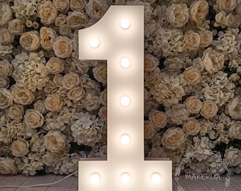 Giant Marquee Numbers with LED Lights Large Light Up 1st Birthday Party Decor 3D Photo Prop Decoration One 1 First Neon Sign Flower Backdrop