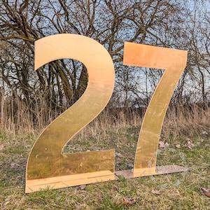 Espejo dorado con números para fiesta de cumpleaños 2025, decoraciones de Año Nuevo, decoración acrílica, marquesina, letras grandes de tamaño natural, telón de fondo de castillo para eventos, accesorios personalizados