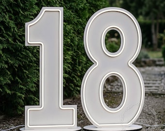 Custom LED Light Up Numbers, Marquee Letters, Giant Freestanding Neon Numbers, Illuminated Birthday Party Decor Photo Zone Props Modern Sign