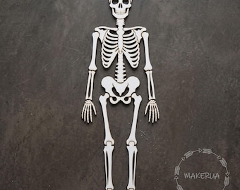 Giant Wooden Skeleton Prop, 3-6ft Halloween Party Decor White 3D Wood Skeleton Cutout Large Unassembled Bones, Spooky Backdrop Wardrobe Gift
