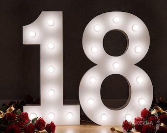 Giant Marquee Numbers with LED Lights Large Light Up 1st Birthday Party Decor Photo Prop Event Decorations 18 18th Neon Sign Bulbs Backdrop