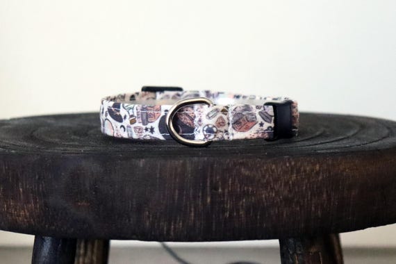 witchy cat collar, cat accessories, kitten gift, spooky cat collar, gift for cat owner, cat birthday gift, breakaway cat collar without bell