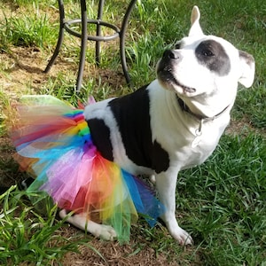 Rainbow Tutu for Dog or Cat