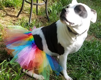 Rainbow Tutu for Dog or Cat