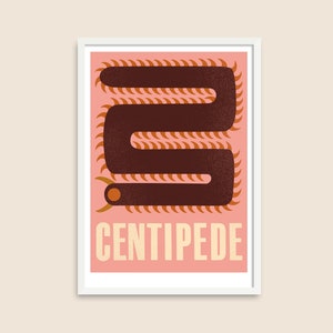 Cartel Animal A3 – Ciempiés