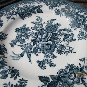 Wedgwood Asiatic Pheasant tea/side plates x 3
