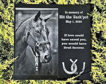 May include: Black granite memorial plaque with a photo of a horse and text that reads "In memory of Hit the 'Jack'pot May 1, 2020 If love could have saved you, you would have lived forever."