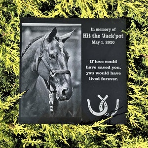 May include: Black granite memorial plaque with a photo of a horse and text that reads "In memory of Hit the 'Jack'pot May 1, 2020 If love could have saved you, you would have lived forever."