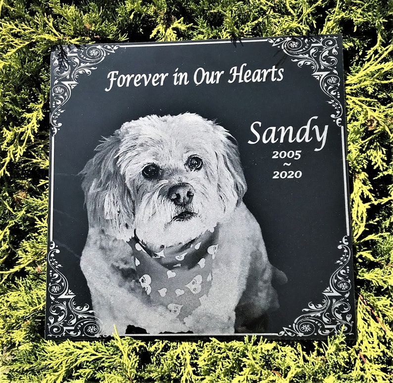 May include: Black granite pet memorial with a white dog wearing a bandana. The text reads "Forever in Our Hearts" and "Sandy 2005 - 2020".