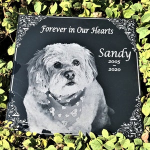 May include: Black granite pet memorial with a white dog portrait, the text "Forever in Our Hearts" and the name "Sandy" with the dates 2005-2020.
