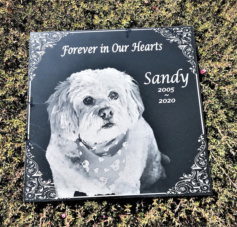 May include: Black granite pet memorial with a white dog portrait, the text "Forever in Our Hearts" and the name "Sandy" with the years 2005 and 2020.