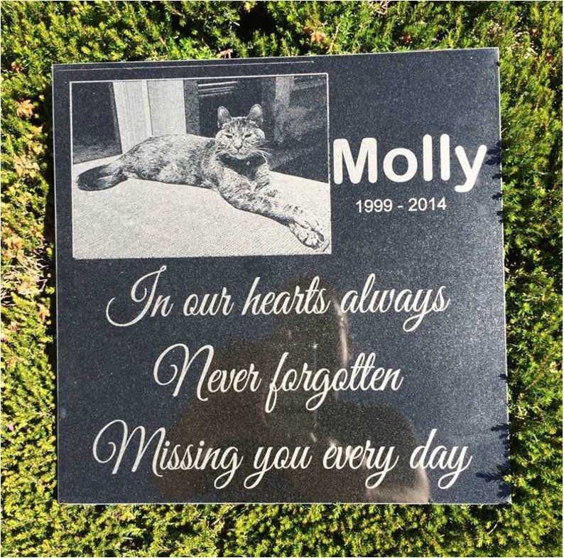 May include: Black granite pet memorial with a photo of a cat, the name "Molly", and the dates "1999 - 2014". The inscription reads "In our hearts always, Never forgotten, Missing you every day."