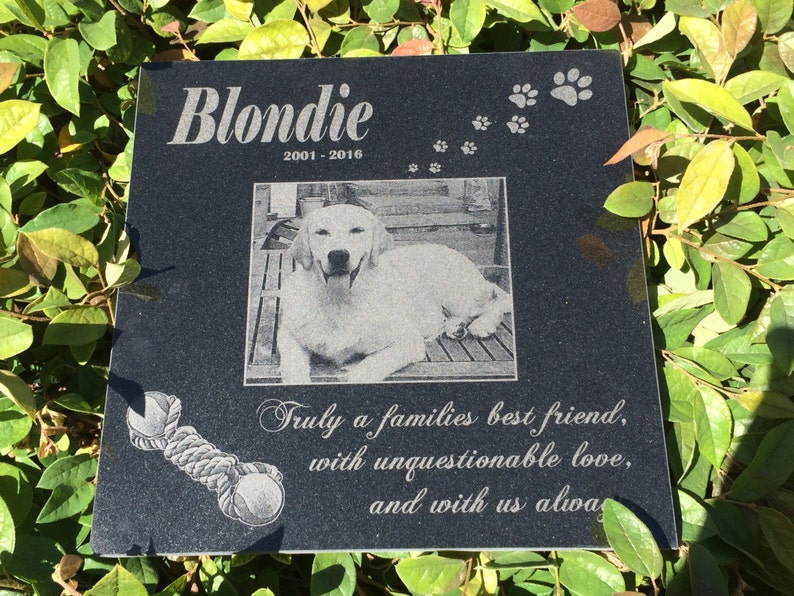 May include: Black granite pet memorial with a photo of a white dog, the name "Blondie" and the dates "2001-2016". The inscription reads "Truly a families best friend, with unquestionable love, and with us alwa".