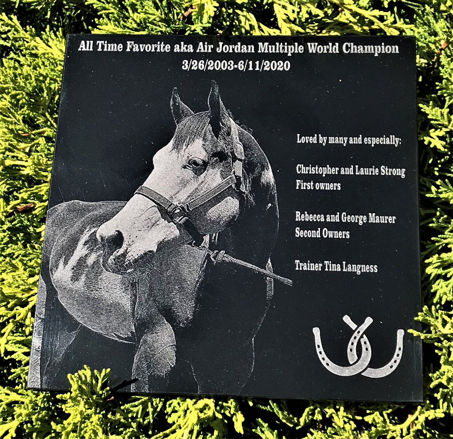 Horse Memorial Custom Designed and Engraved Stone Pet Horse Etsy