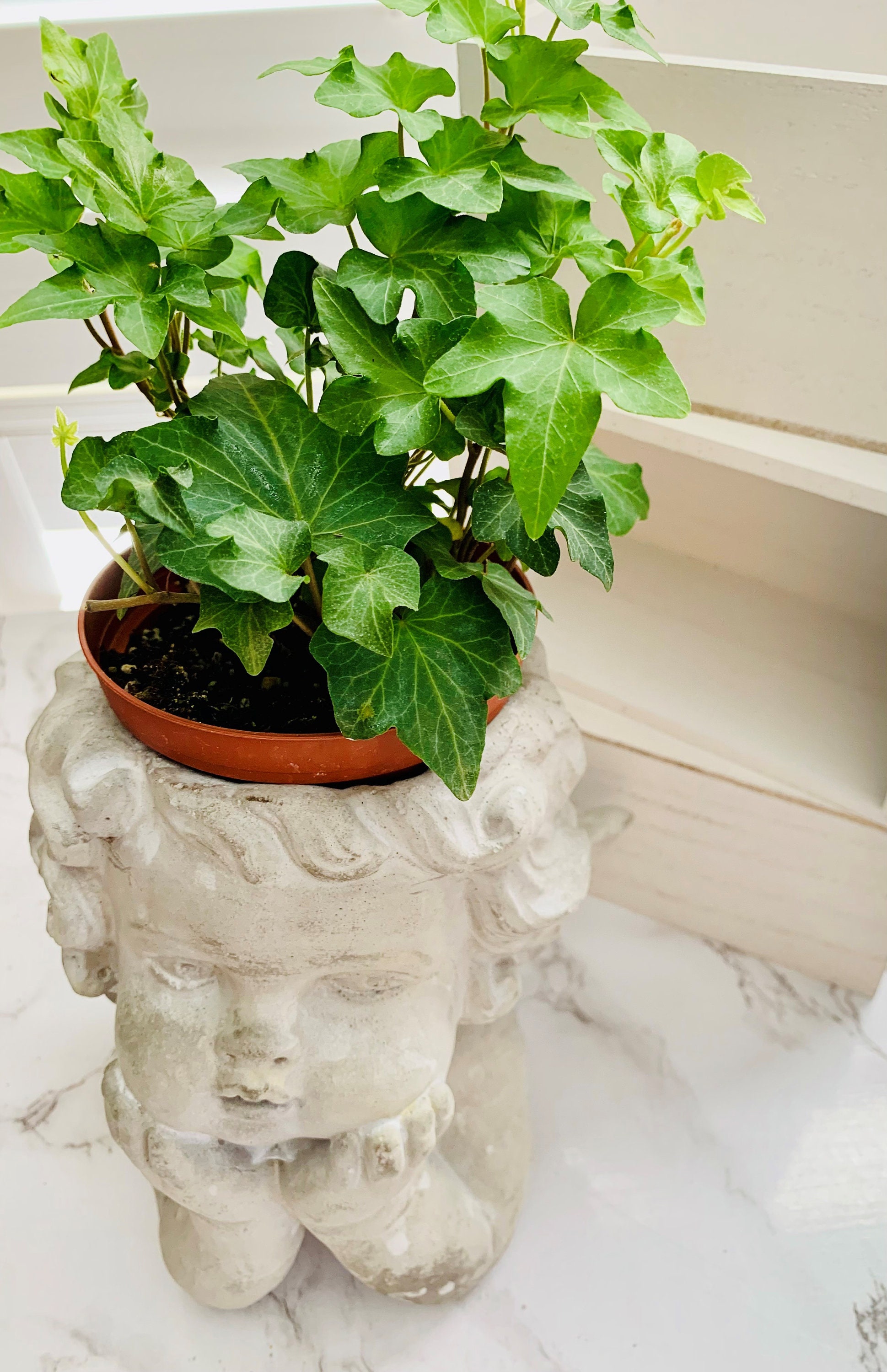 Cement Angel Planter, Table Centerpiece, Garden Planter - Etsy