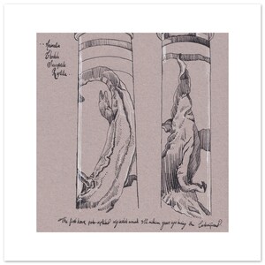 May include: A black and white pen and ink drawing of two reptilian figures in vertical frames. The artwork is on a tan background. Text includes "Animalia, Chordata, Sauropsida, Reptilia" and a caption about the first proto-reptiles, 312 million years ago.
