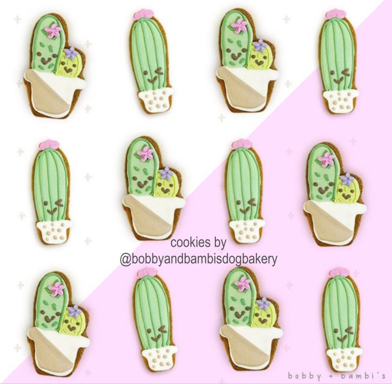 Cactus Cookie Cutter Cookie Cutters Cactus in Pot Succulent Etsy