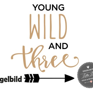 Personalized Ironing Picture DIY Birthday Birthday Wild and Three Arrow Iron On Press Glitter Flock Effect Flex Birthday Shirt