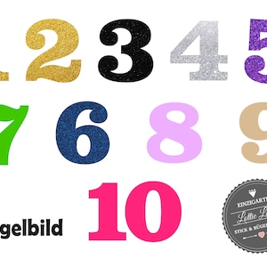 B\u00fcgelbild Igel Geburtstag Zahl NameIron On
