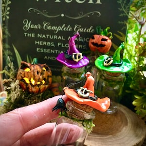 Op de afbeelding: Drie glazen flessen met kurkstoppen en miniatuur heksenhoeden. De hoeden zijn paars, groen en oranje. De flessen zijn gevuld met een heldere vloeistof en hebben mos rond de bovenkant. De flessen staan op een houten oppervlak.