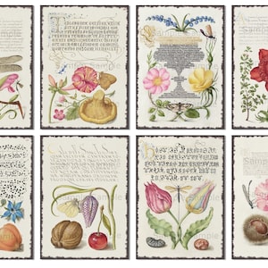 Artist Trading Card Sized Collage Sheets | Nature Meets Calligraphy | Digital Download
