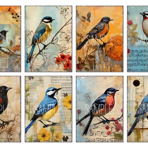 May include: A collage of eight digital art images featuring colorful birds with various backgrounds, including musical notes, flowers, and branches.