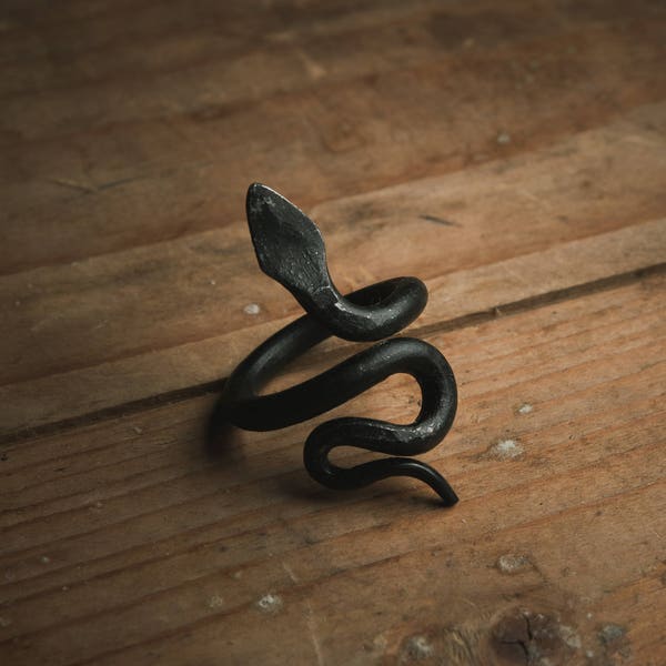 snake ring, goth jewelry, serpent ring, iron ring, gothic jewelry, viking ring, forged ring, goth ring, pagan ring, pagan jewelry