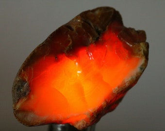 LIQUIDATION SALE! 100% Natural Baltic Amber Stone, Amber Palm Piece, BUTTERSCOTCH Amber, Royal Amber 62gr